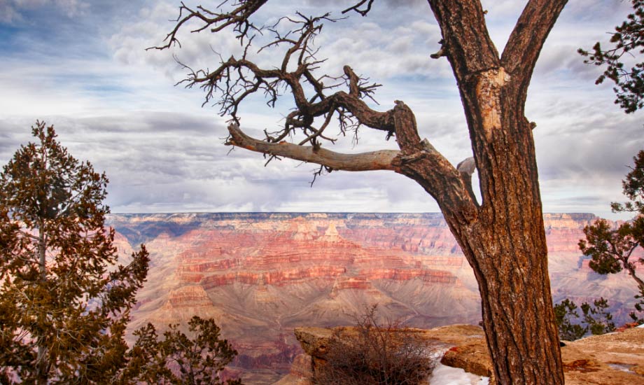grand-canyon2